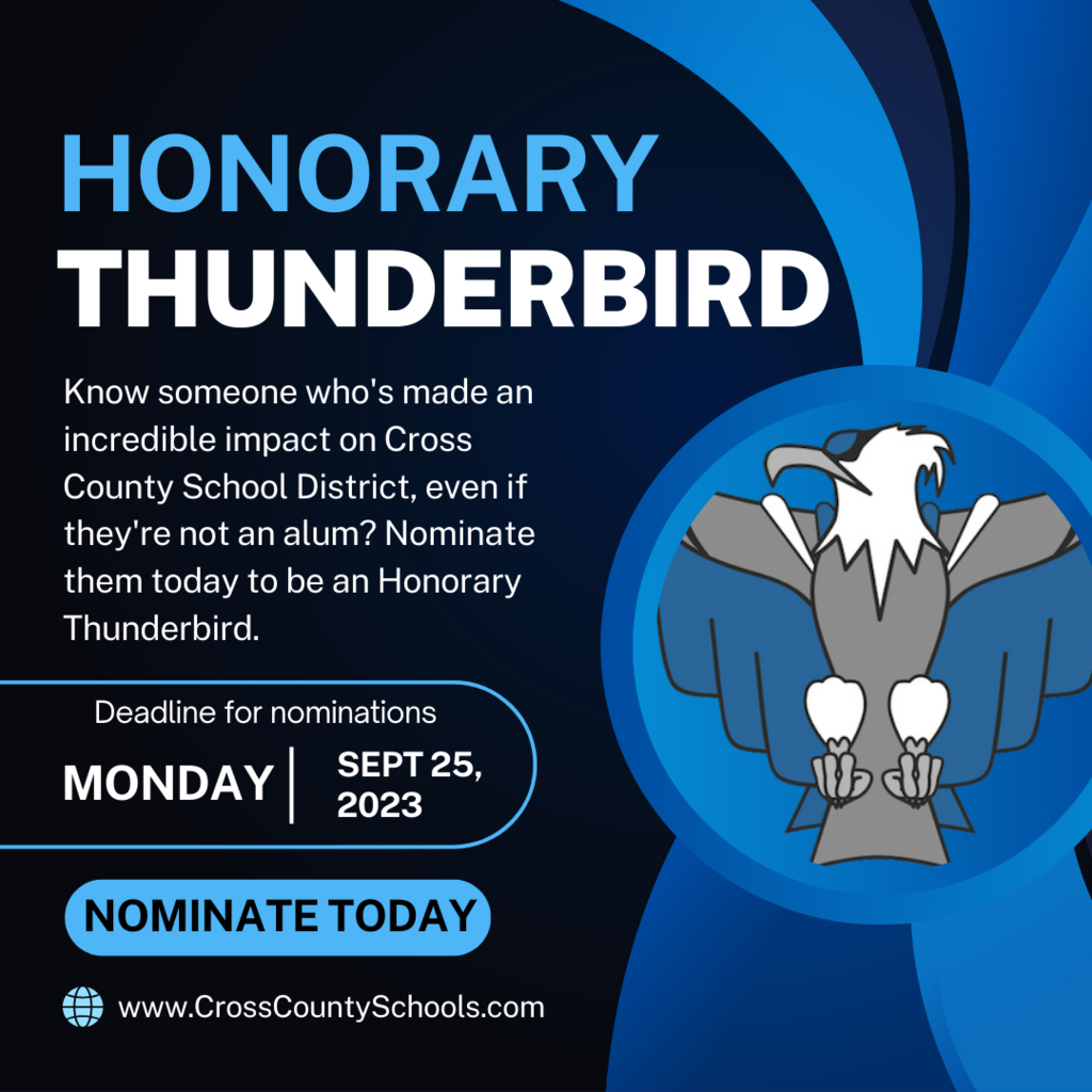 Honorary Thunderbirds